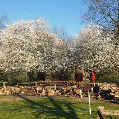 Holiday park De Roek Vakantiebungalows