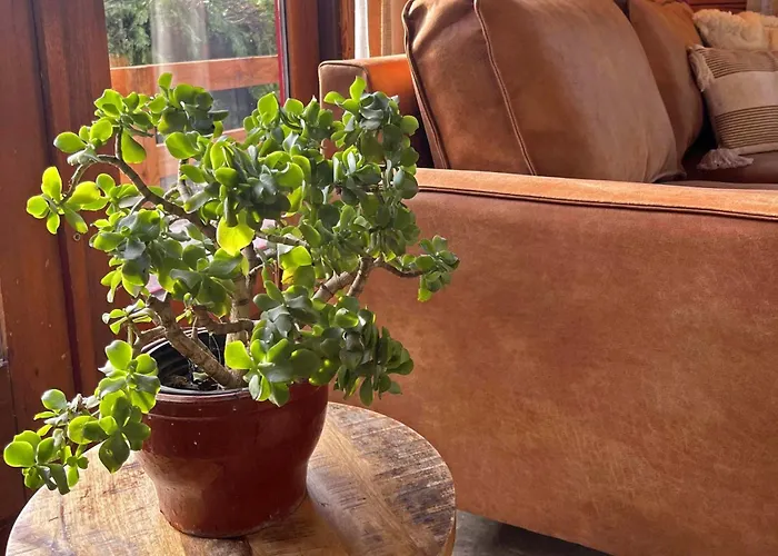 Semesterpark De Roek Vakantiebungalows *