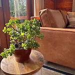 假日公园 De Roek Vakantiebungalows *