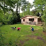 假日公园 De Roek Vakantiebungalows 欧特罗